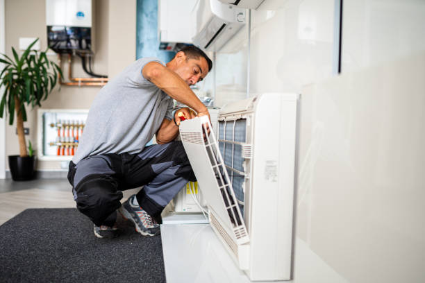 Best Air Duct Mold Removal  in Gardende, AL
